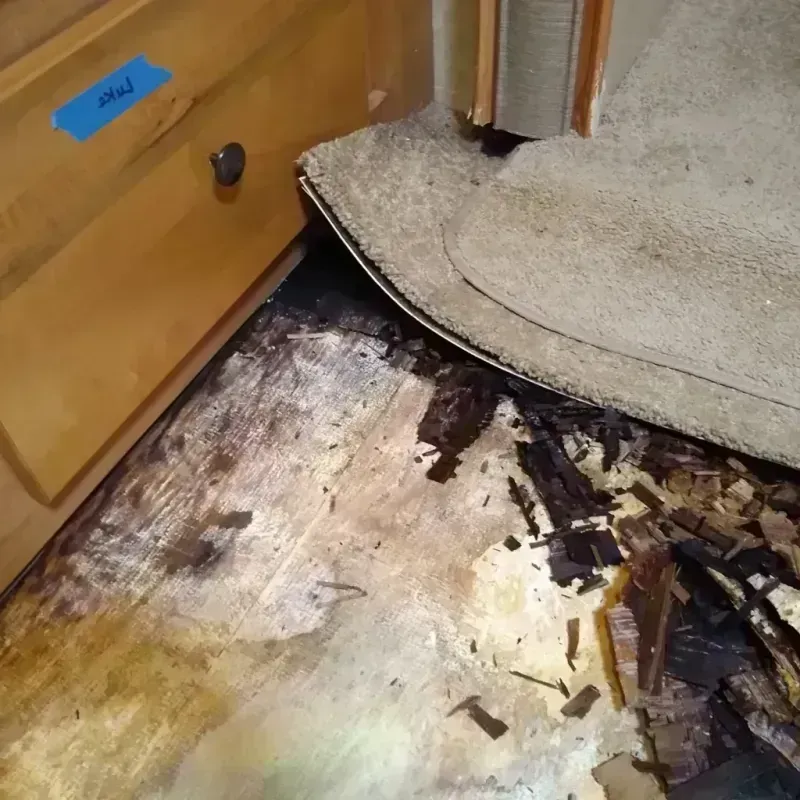 Best Wood Floor Water Damage Service in Lake Ozark, MO